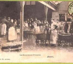 af4501 - BELGIUM Belgique - Carte Postal Ancienne VINTAGE  POSTCARD -Anvers-1908