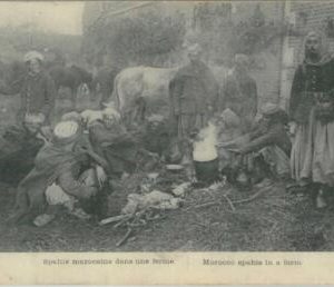 80268 -   Maroc MOROCCO  - VINTAGE POSTCARD -   Ethnic SAPHIS  1914