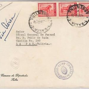 43353 - ARGENTINA - POSTAL HISTORY  -  AIRMAIL COVER to BOLIVIA - 1960