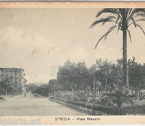 56095  -- CARTOLINA d'Epoca - LA SPEZIA città:  Viale MAZZINI