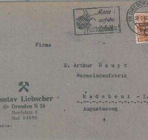 75625 - GERMANY - POSTAL HISTORY -  POSTMARK on cover -  INSECTS beetles 1948