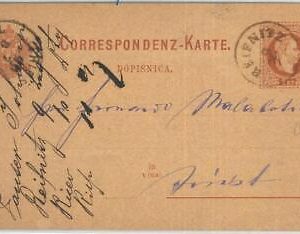 69839 - AUSTRIA Slovenia - POSTAL HISTORY - STATIONERY CARD from REIFNITZ 1881