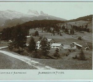 98307 - CARTOLINA d'Epoca - BELLUNO Provincia - CORTINA D'AMPEZZO fotografica