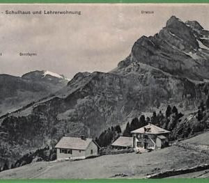 ah0452 -  SWITZERLAND - VINTAGE POSTCARD  - Braunwald  - 1917