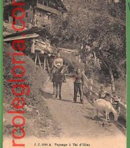 ah0507 -  SWITZERLAND - VINTAGE POSTCARD  - 1910 - Ethnic