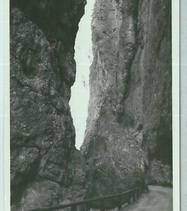 98326  - CARTOLINA d'Epoca - BELLUNO Provincia - CORTINA D'AMPEZZO fotografica
