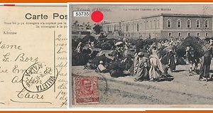 LIBIA - Francobollo Italiano su CARTOLINA da Tripoli per l'Egitto via MALTA 1906