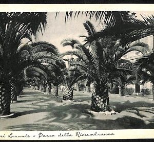 ab2963 - CARTOLINA D'EPOCA - Genova Provincia : Sestri Levante