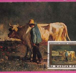 ag3495 - HUNGARY - POSTAL HISTORY - Maximum Card - ART farm animals