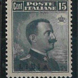 53677  - ITALIA COLONIE: LIBIA - Sassone 5 NON LINGUELLATO  molto ben centrato