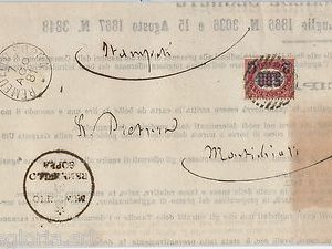 64288 - ITALIA REGNO - STORIA POSTALE :   BUSTA da REMEDELLO SOPRA 1881