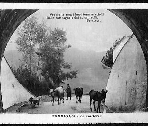 ab3019- CARTOLINA D'EPOCA - Genova Provincia : Torriglia