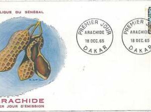 24037 - Senegal - POSTGESCHICHTE - FDC BRIEF 1965 LANDWIRTSCHAFT Erdnüsse