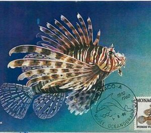 32622 MAXIMUM CARD Maximaphilia: FISH marine life - MONACO 1960