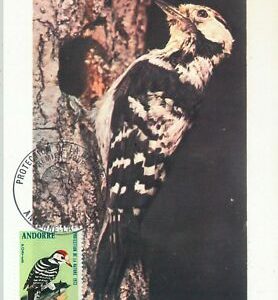 63369 - FRANZÖSISCH ANDORRA - POSTGESCHICHTE: MAXIMUM KARTE - VÖGEL 1973...