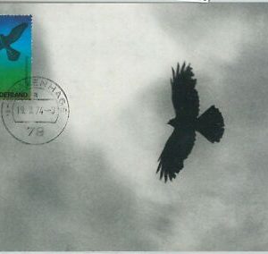 63610 - NIEDERLANDE - POSTGESCHICHTE: MAXIMUM KARTE 1974 - VÖGEL