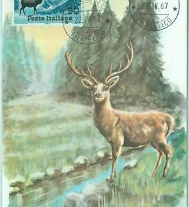 68683 - ITALIEN - Postgeschichte - MAXIMUM KARTE 1967 - NATUR: Fauna
