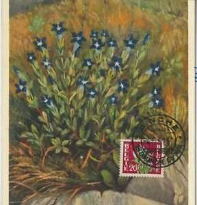 57036 - BELGIEN - POSTGESCHICHTE: MAXIMUM KARTE 1951 - BLUMEN