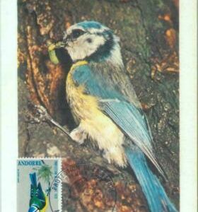 87602 - FRENCH ANDORRA - POSTAL HISTORY: MAXIMUM CARD - BIRDS 1973