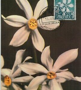 63361 - SPANISH ANDORRA - POSTAL HISTORY: MAXIMUM CARD - FLOWERS 1966