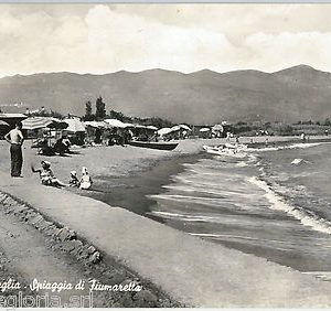 60235  - CARTOLINA d'Epoca - LA SPEZIA provincia :  Ameglia    1956