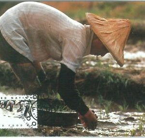 68859 - UNITED NATIONS - Postal History - MAXIMUM CARD 1984 - AGRICOLTURE Rice