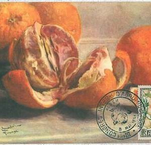 38747 - Algeria - POSTAL HISTORY - FDC MAXIMUM CARD 1954 - FRUIT Oranges