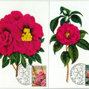 63430 - BELGIUM - POSTAL HISTORY: Set of 2 MAXIMUM CARD 1970 - FLOWERS