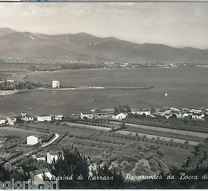 60252  - CARTOLINA d'Epoca - MASSA CARRARA:  Marina di Carrara  1960
