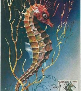 32621 MAXIMUM CARD Maximaphilie: FISH marine life - MONACO 1960 Seepferdchen