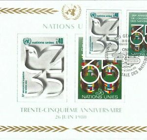 72816 - VEREINTE NATIONEN - Postgeschichte - MAXIMUM KARTE - Flaggen 1980