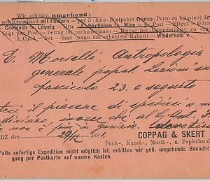 52892  - CARTOLINA d'Epoca - GORIZIA Città - PUBBLICITARIA 1891