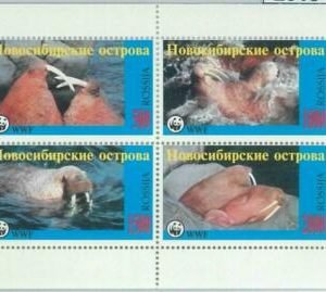M2015 - ESTADO DE RUSIA, FICHA: WWF, Morsas, Focas, Vida marina, Animales