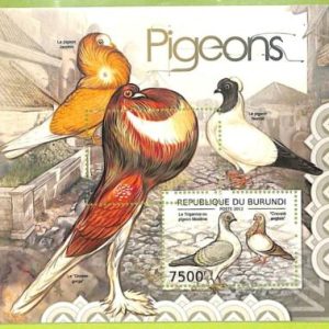 A0064 - BURUNDI - ERROR, 2012  MISSPERF SHEET - BIRDS Pigeon