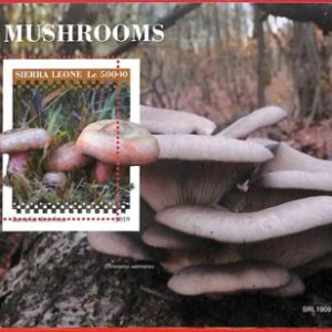 A4527 - SIERRA LEONE - ERROR MISPERF, Souvenir sheet: 2019, Mushrooms