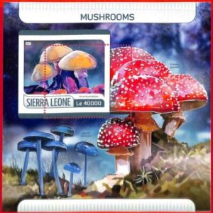 A4550 - SIERRA LEONE - ERROR MISPERF, Souvenir sheet: 2017, Mushrooms