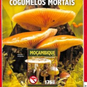 A1321 Mozambique - ERROR MISSPERF  2016 MUSHROOMS  Грибы
