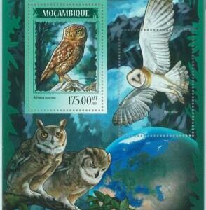 M1491 - MOZAMBIQUE, ERROR, 2014 MISSPERF SHEET: Owls, Birds