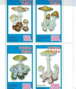 98882 - Russian states TUVA Touva  - STAMPS Miniature sheet  - MUSHROOMS