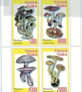 98881 - Russian states TUVA Touva  - STAMPS Miniature sheet  - MUSHROOMS