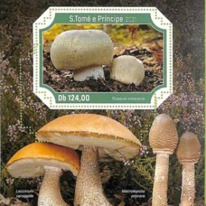 A8710 - S.TOME - ERROR MISPERF  Stamp Sheet -2021 PLANTS, mushrooms