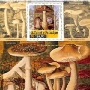 A8709 - S.TOME - ERROR MISPERF  Stamp Sheet -2021 PLANTS, mushrooms