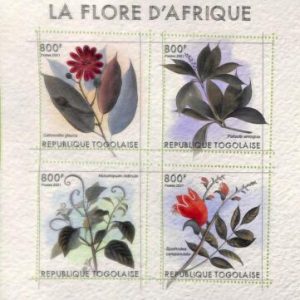 A8935 - TOGO - ERROR MISPERF Stamp Sheet - 2021  Flowers plants
