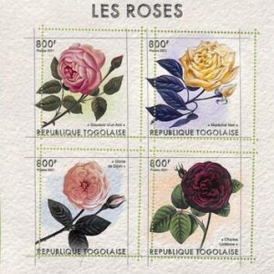 A8934 - TOGO - ERROR MISPERF Stamp Sheet - 2021  Flowers, Roses