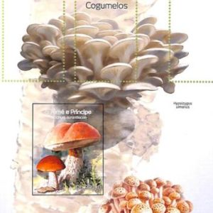 A8708 - S.TOME - ERROR MISPERF  Stamp Sheet -2014 PLANTS, mushrooms