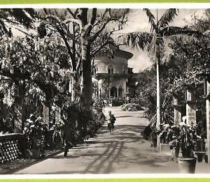 ad3478 - PORTUGAL - VINTAGE POSTCARD  -  Lisboa
