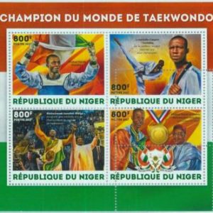 A1411 - NIGER, ERROR, МISPERF Miniature s: 2017 Taekwondo, Abdoul Issoufou, Flag