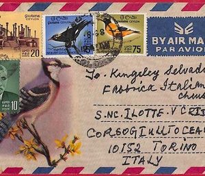 ai6011 - CEYLON - POSTAL HISTORY - AIRMAIL Cover  to ITALY  1968 Birds