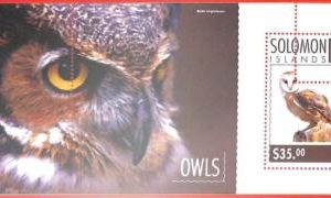 A4868 - SOLOMON ISLANDS - ERROR MISPERF, Souvenir sheet: 2014, Owls, Birds