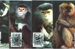 72865 - VIETNAM - Postal History  - Set of 4 MAXIMUM CARD:  WWF Monkeys 1987